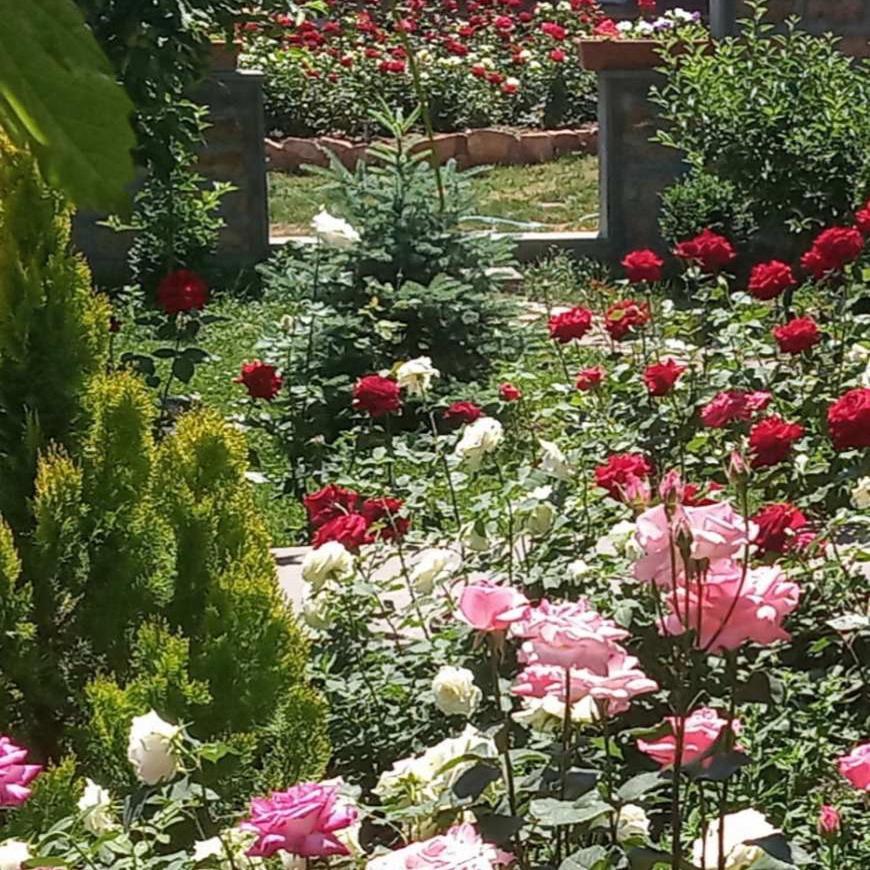 Guest House Hasmik Yeghegnadzor 外观 照片