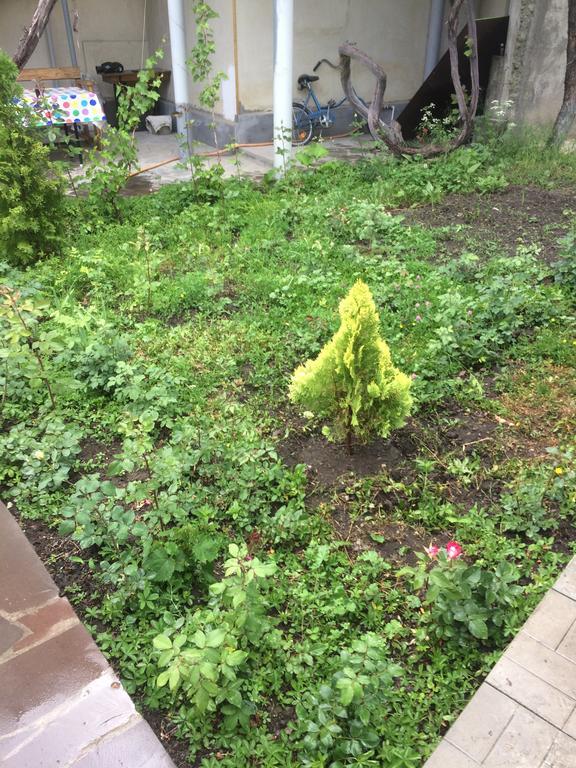Guest House Hasmik Yeghegnadzor 外观 照片