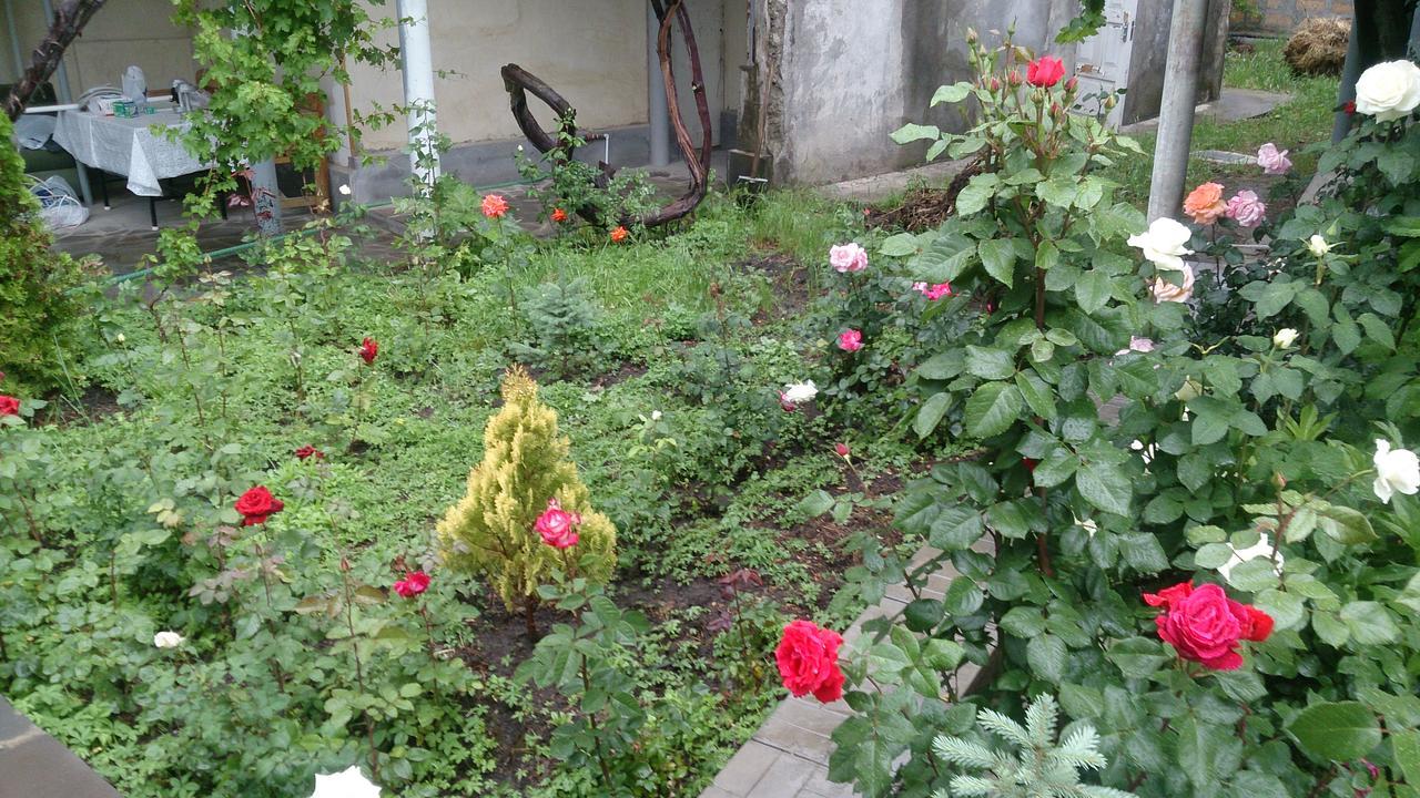 Guest House Hasmik Yeghegnadzor 外观 照片